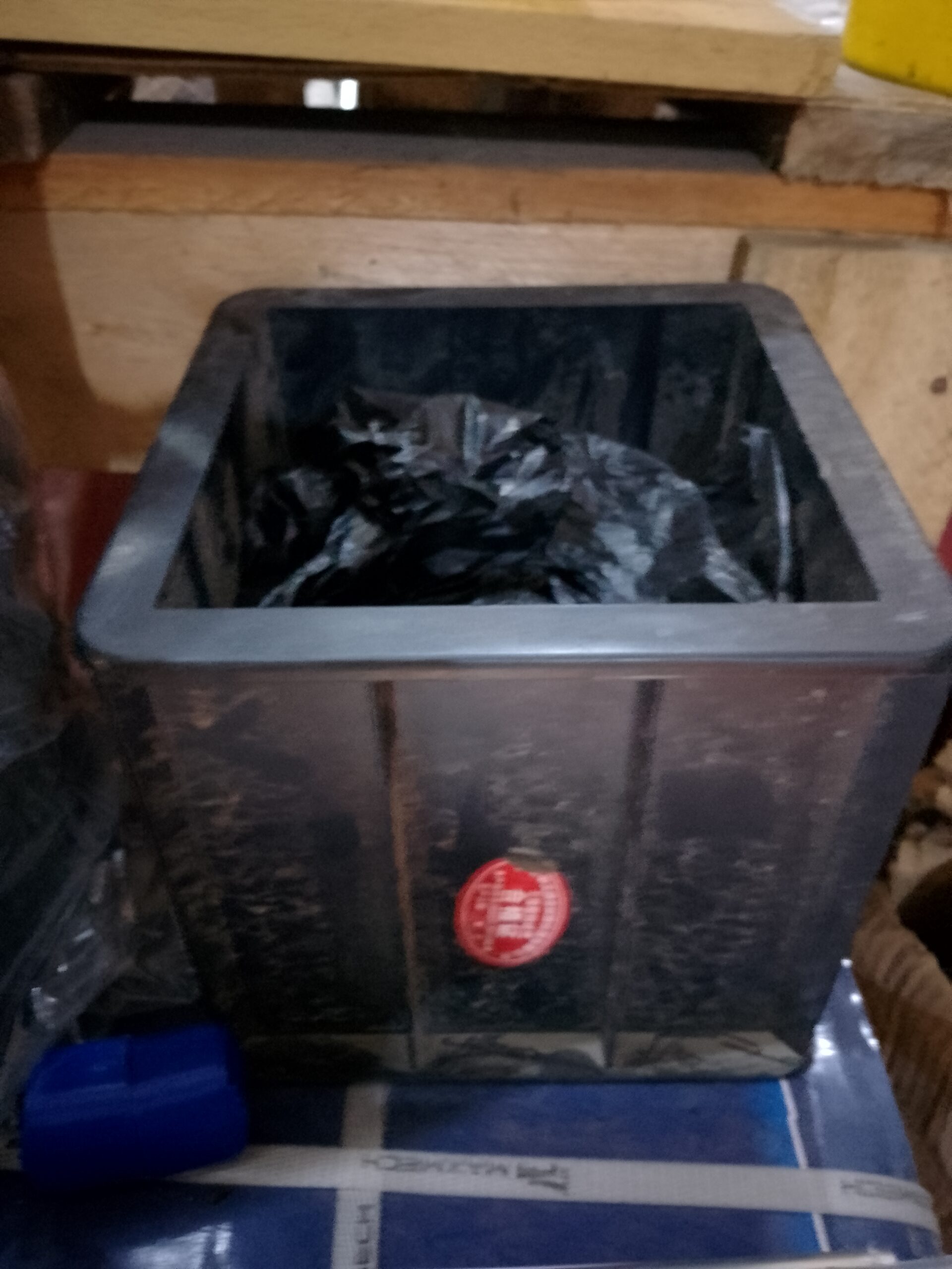 Plastic Cube Mould - Image 2